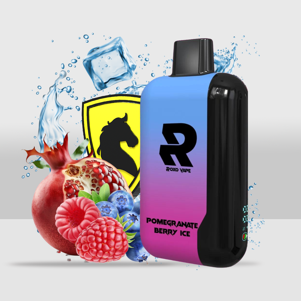 Roxo One 8000 Puffs Disposable Vape Device | Long-Lasting and Convenient Vaping - Pomegranate Berry Ice - Seef Vape